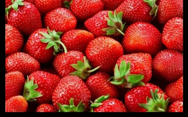 3月が旬！『いちご』でゴルファーの身体を守ろう！