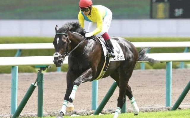 【25年の新種牡馬たち】フランケル×ウオッカの良血馬タニノフランケル 産駒にはダイワスカーレットの血を引く馬も