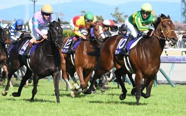【高松宮記念】売上は161億8647万5300円で昨年より約2.7億円増加