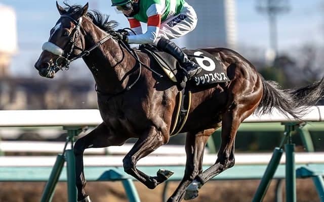 【大阪杯想定騎手】シックスペンスは横山武史騎手、ステレンボッシュはJ.モレイラ騎手