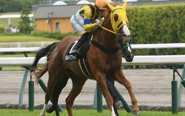 【AI予想・大阪杯】前走の人気に明確な傾向あり！ 人工知能は実績豊富な3頭を高評価