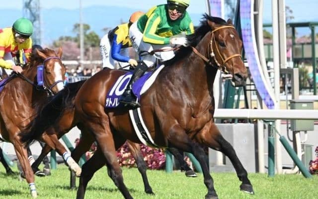 ロードカナロア産駒3頭目の高松宮記念V サトノレーヴの配合の優秀さとは