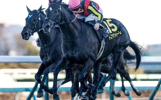 【ダービー卿CT想定騎手】トロヴァトーレはJ.モレイラ騎手、ロジリオンは松山弘平騎手