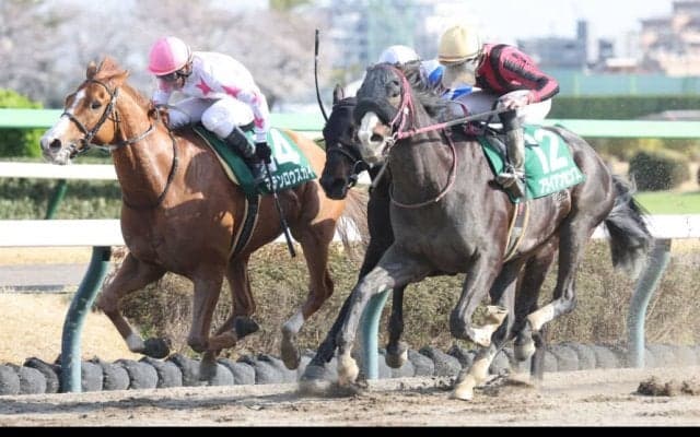 【マーチS】岩田望「馬の成長に感謝」ブライアンセンスが重賞初制覇