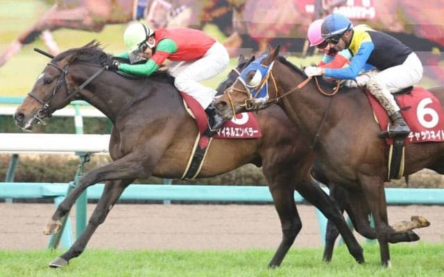 【日経賞】マイネルエンペラーが重賞初制覇…アーバンシックは3着まで