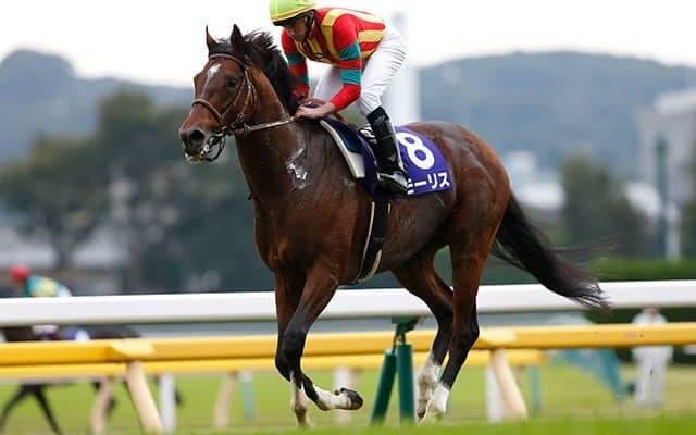 名マイラーの覚醒 G1・4連勝につながった重賞初制覇から10年