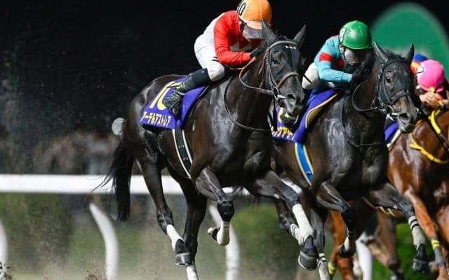 【園田・兵庫女王盃枠順】重賞3勝馬アーテルアストレアは1枠1番