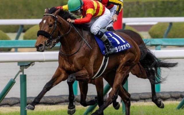 大阪杯史上初の連覇へ “阪神巧者”の昨年覇者が参戦