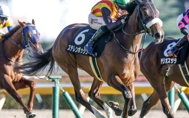 【大阪杯予想オッズ】ステレンボッシュが予想1番人気