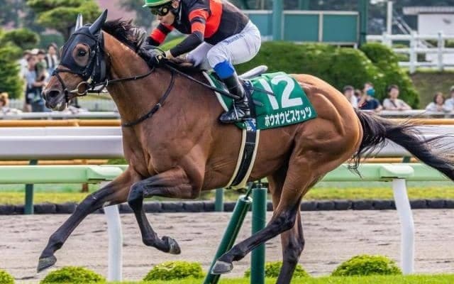 「ホウオウ軍団」がGI初制覇狙う 大阪杯で20回目の挑戦