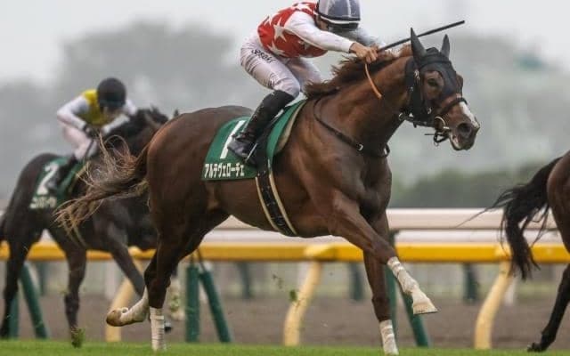 【チャーチルダウンズC予想オッズ】アルテヴェローチェが予想1番人気