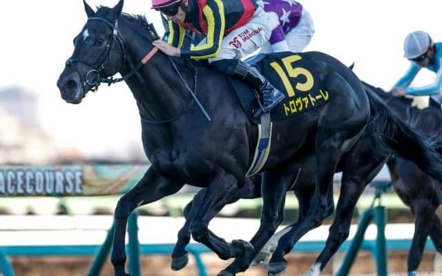 【ダービー卿CT予想オッズ】トロヴァトーレが予想1番人気
