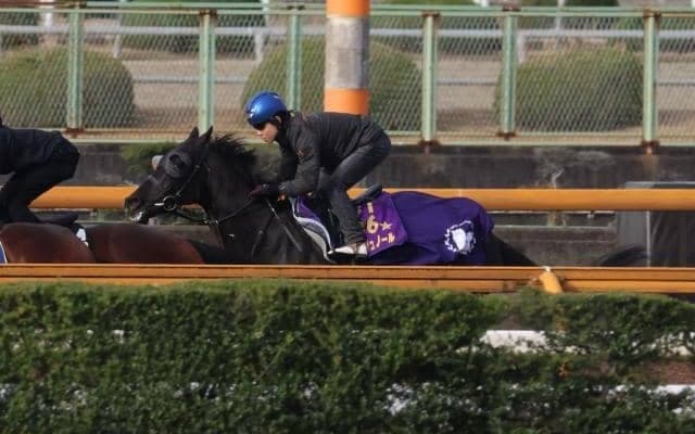 クロワデュノール、皐月賞2週前追い切り速報/栗東トレセンニュース