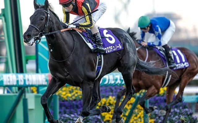 【皐月賞想定】クロワデュノール、ピコチャンブラックなど19頭