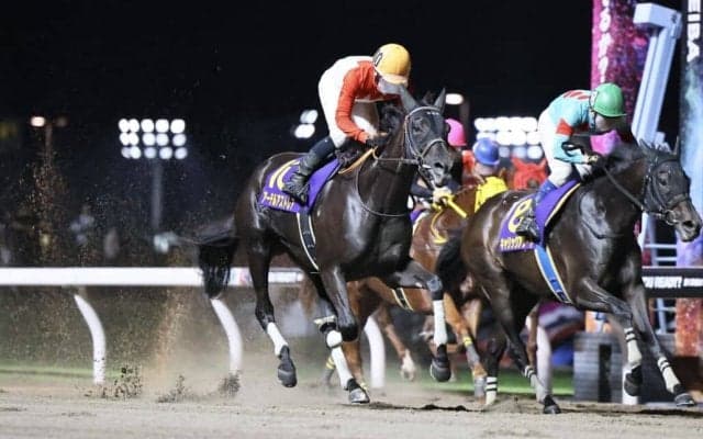 【兵庫女王盃】アーテルアストレアは1枠1番へ