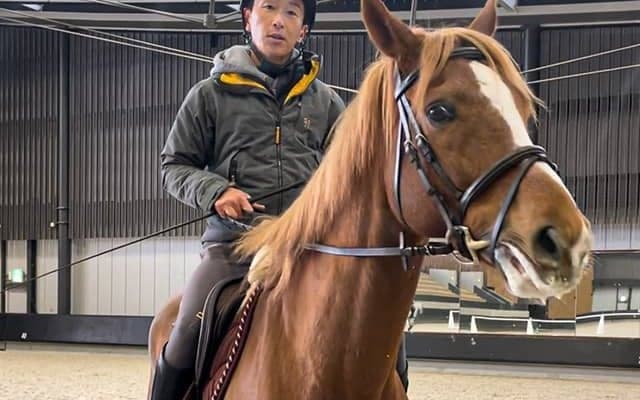ヴェローチェオロは「やんちゃだけど自分を持っている」 JRA馬事公苑で送る“第二の馬生”とは