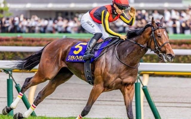 【ドバイターフ枠順】三冠牝馬リバティアイランドは5番ゲート、連覇を狙うファクトゥールシュヴァルは11番ゲート