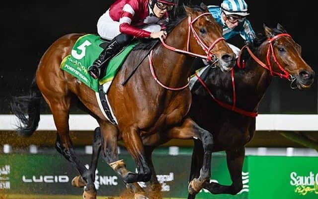 【ドバイWC枠順】サウジCを制したフォーエバーヤングは5番ゲート、アルマクトゥームチャレンジ覇者ウォークオブスターズは1番ゲート