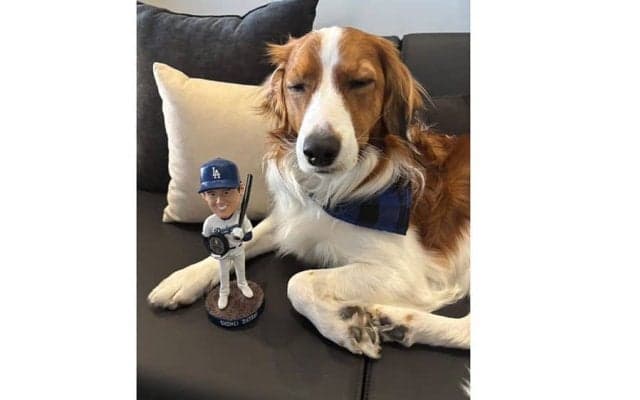大谷翔平、デコピンの最新写真公開　サヨナラHRを“目撃？”…特製クッキー＆ボブルヘッドと2S