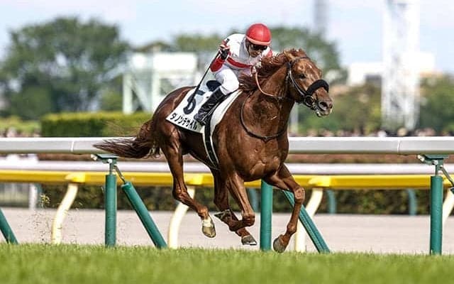 【ドバイSC枠順】日本ダービー馬ダノンデサイルは3番ゲート、G1・7勝のレベルスロマンスは4番ゲート