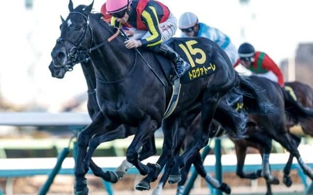【ダービー卿CT出走馬・騎手確定】トロヴァトーレ＆J.モレイラ騎手、ロジリオン＆松山弘平騎手など14頭