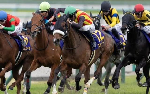 【大阪杯・調教後馬体重】ステレンボッシュは475kg、シックスペンスは508kg