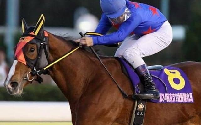 母は地方重賞11勝の名牝 ソリスクラヴィスが待望のデビュー戦