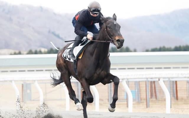 トレーニングセール上場予定の29頭 日高育成調教施設で採血と調教ビデオ撮影