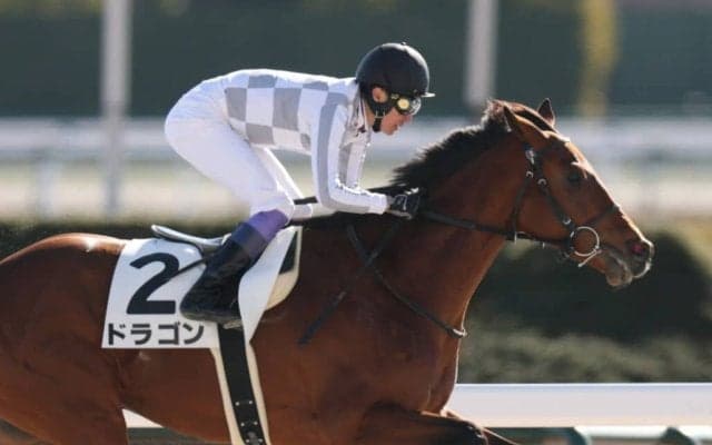 【武豊日記】ドバイミーティングに参加