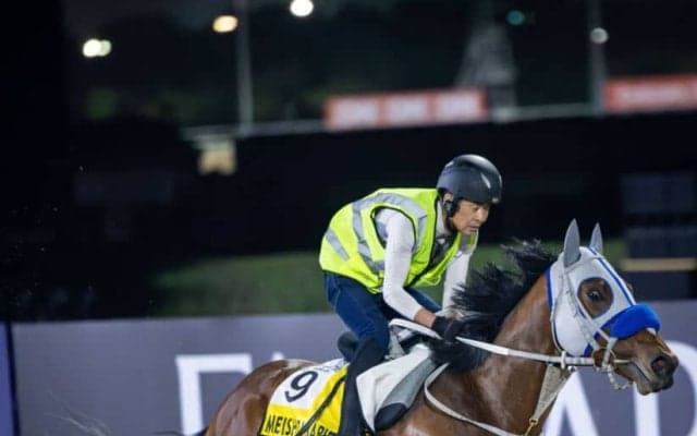 【ドバイターフ】武豊メイショウタバルは8番ゲート