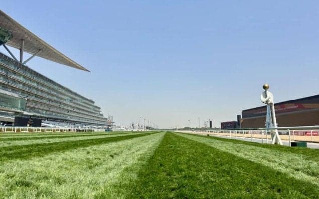 【ドバイシーマクラシック】シンエンペラーは1番ゲート