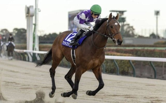 【川崎記念】サンライズジパングなどJRA6頭