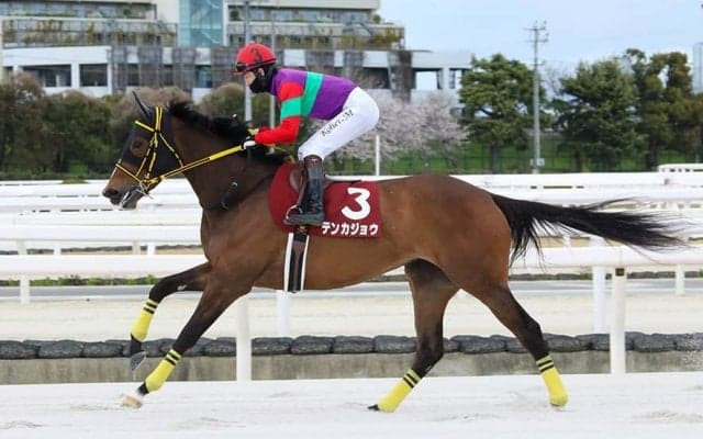 【兵庫女王盃】テンカジョウが交流重賞2勝目…アーテルアストレアは2着
