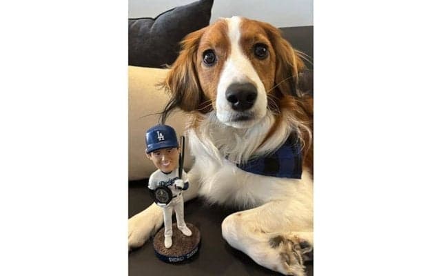 デコピンに女性記者が“キュン”「OMG」　大谷翔平だけに見せる表情が「完全に虜」