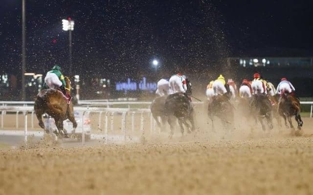 ドバイWCデーは総賞金47億円超えのビッグイベント 各レースの賞金をおさらい