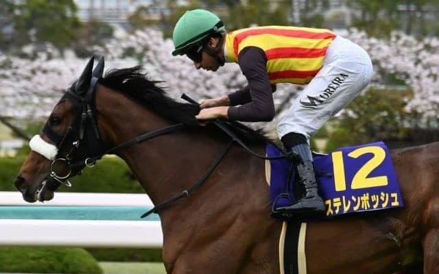 【大阪杯枠順確定】ステレンボッシュは7枠12番、シックスペンスは6枠10番