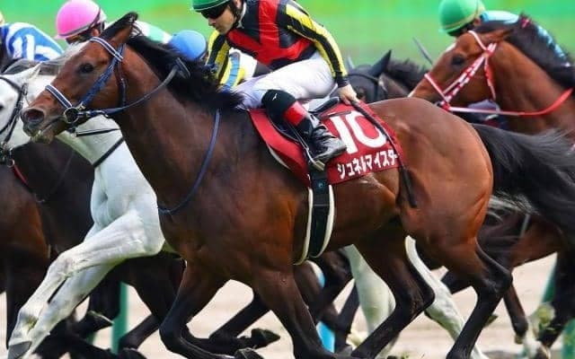 ドイツの名牝系出身 GI覇者の半弟がデビュー
