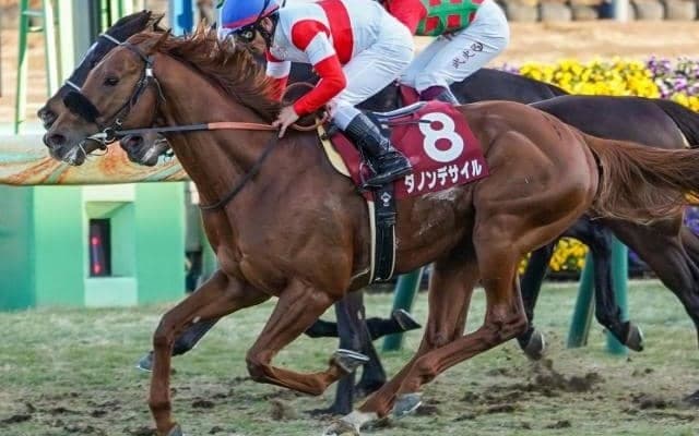 海外G1初挑戦の日本ダービー馬 威厳示し初制覇なるか