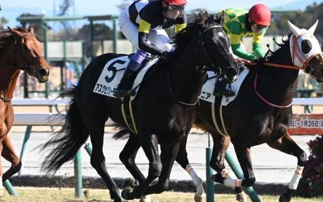 【チャーチルダウンズC予想】前走重賞組が強さを見せる！ 新馬や未勝利から参戦する馬の取り扱いには注意