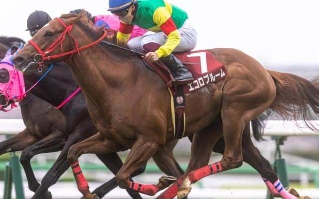 昨年のニュージーランドT覇者 “中1年”で重賞連勝なるか