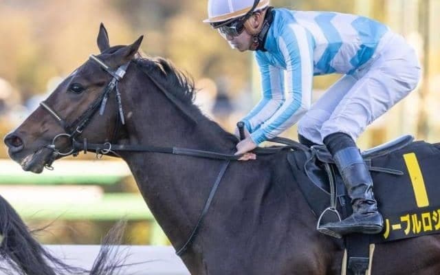 阪神芝で好調なエピファネイア産駒 土曜メインはポテンシャル確かな一頭に注意