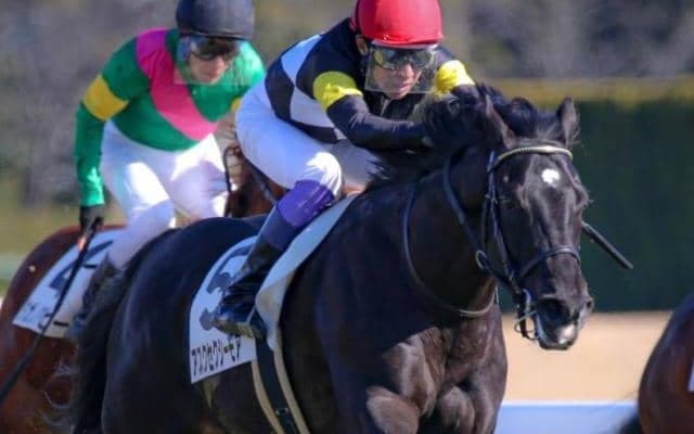 福永厩舎のセレクト2.9億円馬 チャーチルダウンズCで史上最高額のJRA重賞ウイナーになるか