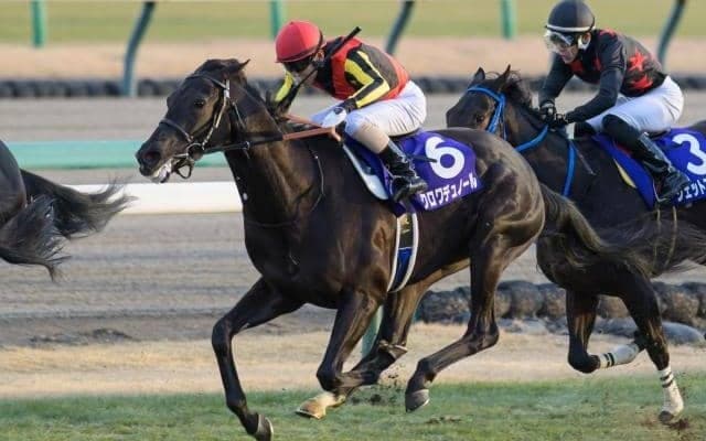 【皐月賞想定馬・騎手】クロワデュノール、マスカレードボールなど19頭