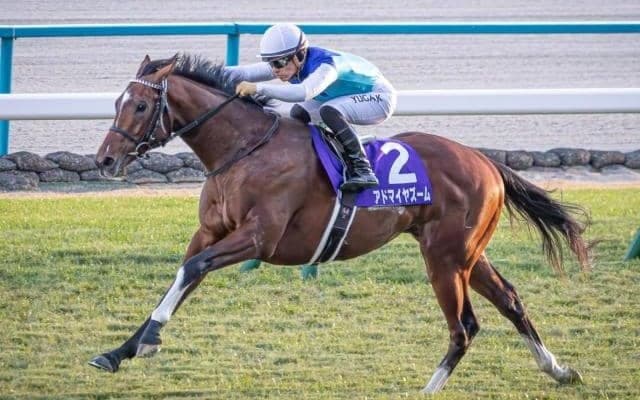 【ニュージーランドT想定馬・騎手】アドマイヤズーム、グーテンベルクなど15頭