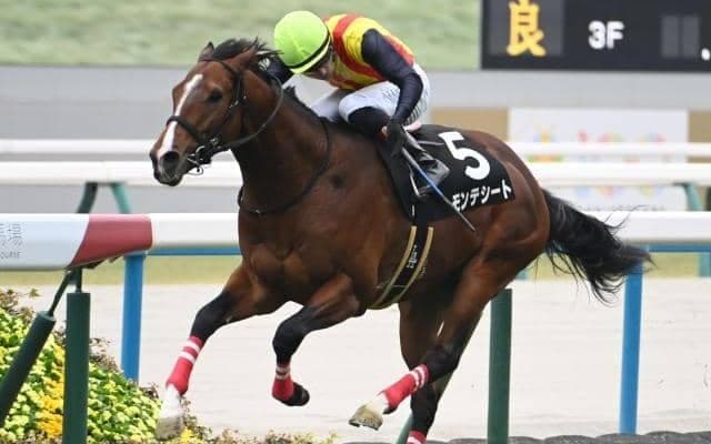 【チャーチルダウンズC予想】NHKマイルCへのトライアル 将来性を見定めたい一戦