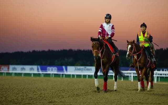 【ドバイWCデー見どころ】日本から6競走に計24頭が参戦 世界から強豪集う豪華決戦