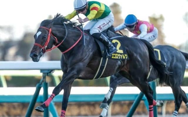 【大阪杯予想】瞬発力よりも持久力や器用さ重視で 春の中距離王者決定戦