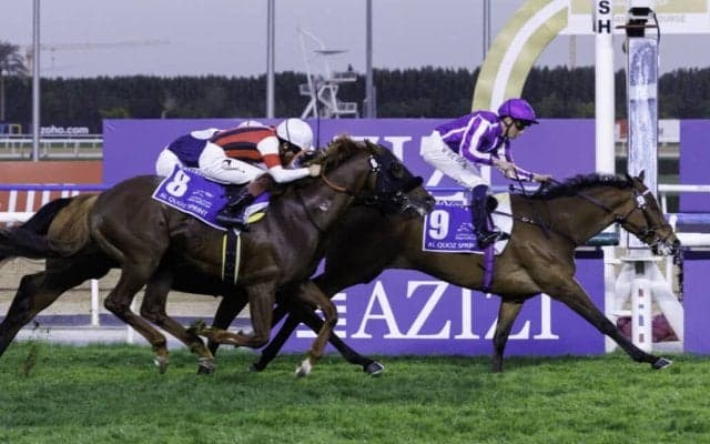 【アルクオーツスプリント】鹿戸師「頭が下がる思いです」…8歳馬ウインカーネリアンは惜しい2着