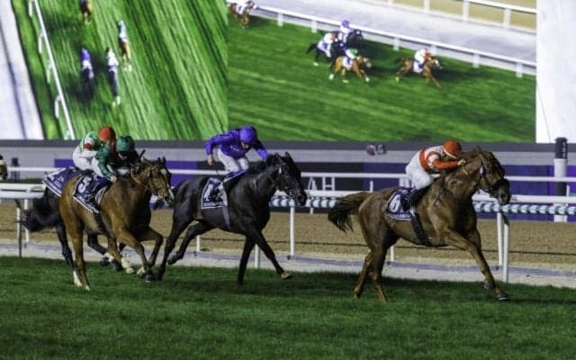 【ドバイシーマクラシック】尾関師「勝ち馬が強かった」ドゥレッツァは惜しい3着