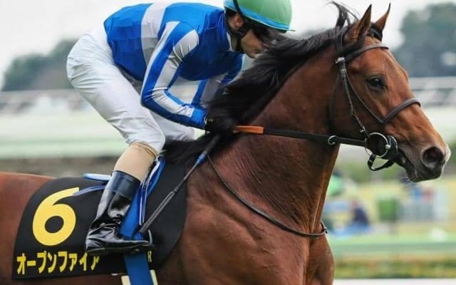 ディープ産駒の3億円馬 転厩初戦で復活Vなるか